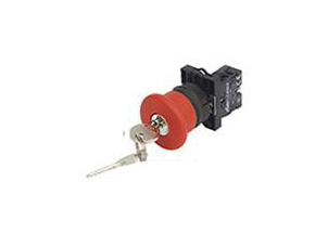 LA167-B2-ES14 锁扣式 Φ40mm 蘑菇头红钥匙位(Ronis n° 455)